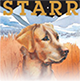 STARR Scholarsihp dog mascot